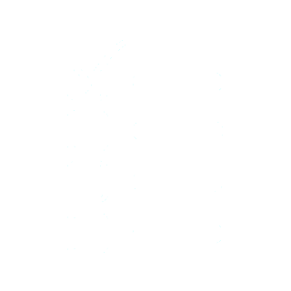 Project Management